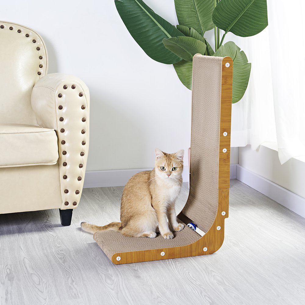 Cat Scratching Post Photos and Videos