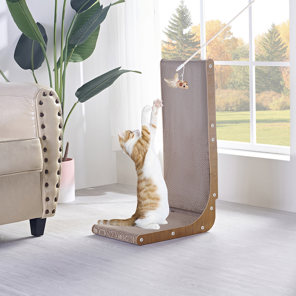 Cat Scratching Post Photos and Videos