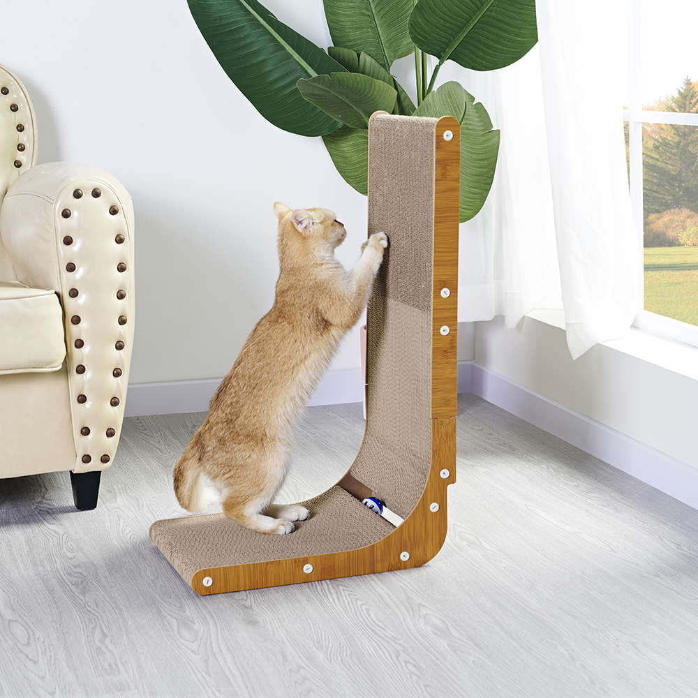 Cat Scratching Post Photos and Videos
