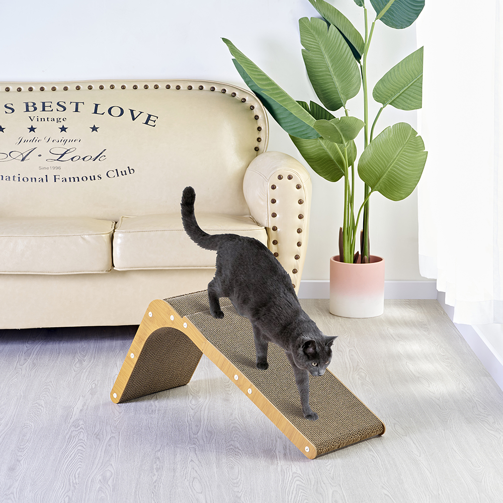 Cat Scratching Post Photos and Videos