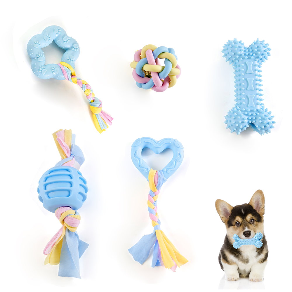 Pet Toy Photography Tutorial
