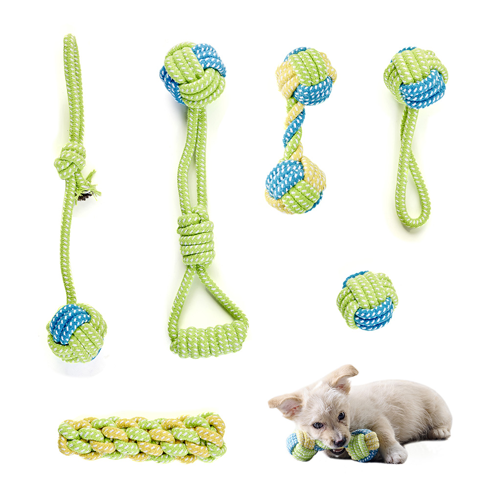 Pet Toy Photography Tutorial