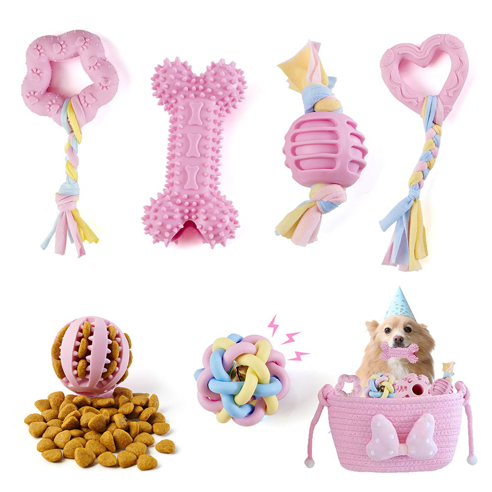 Pet Toy Photography Tutorial